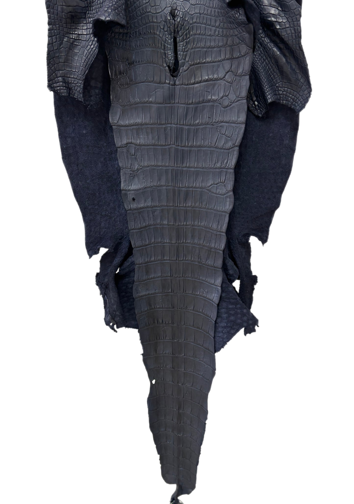 47 cm Grade 2/3 Navy Blue Matte Wild American Alligator Leather - Tag: LA25-0501459