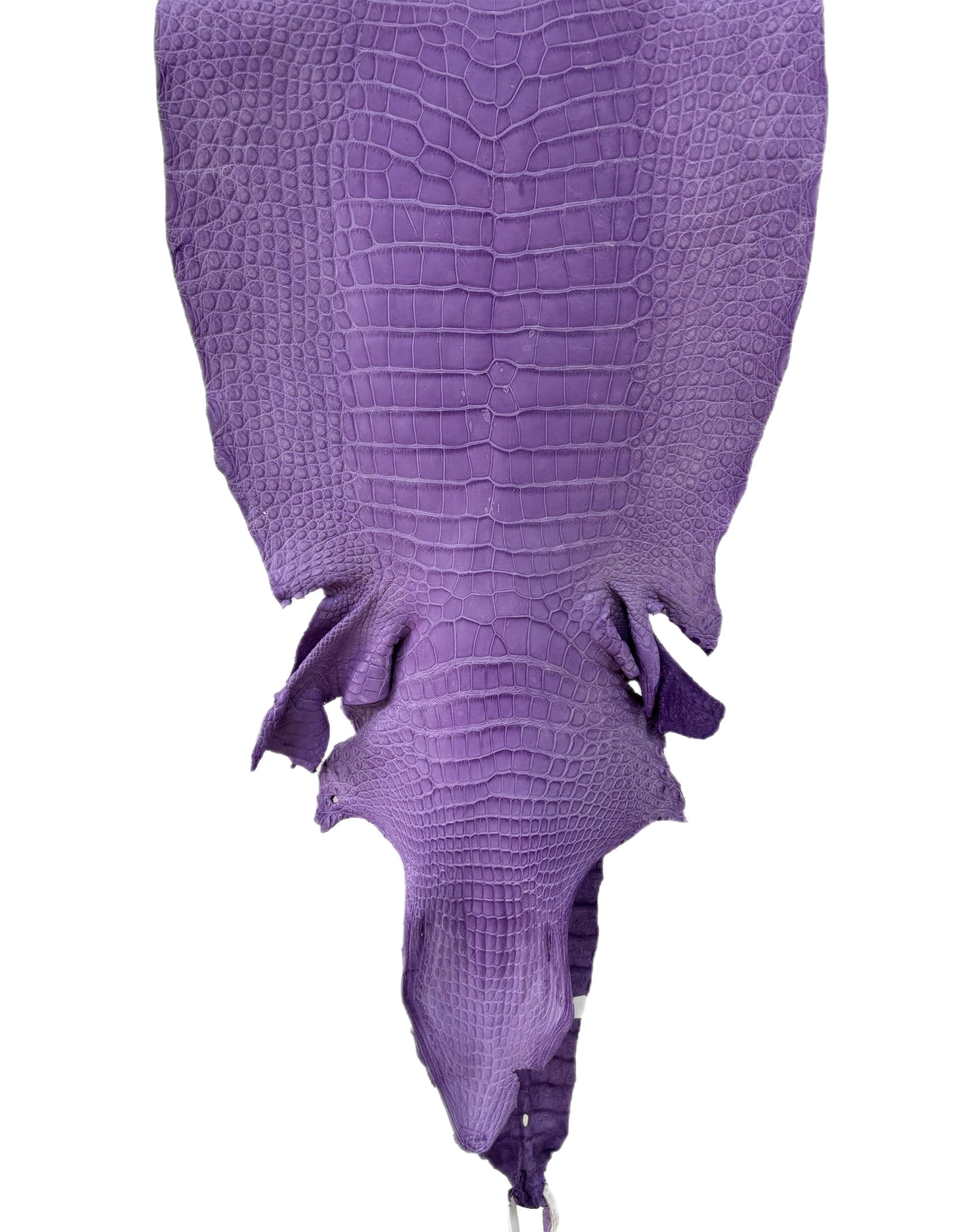 37 cm Grade 4/5 Lavender Jade Desert Wild American Alligator Leather - Tag: LA23-0003032