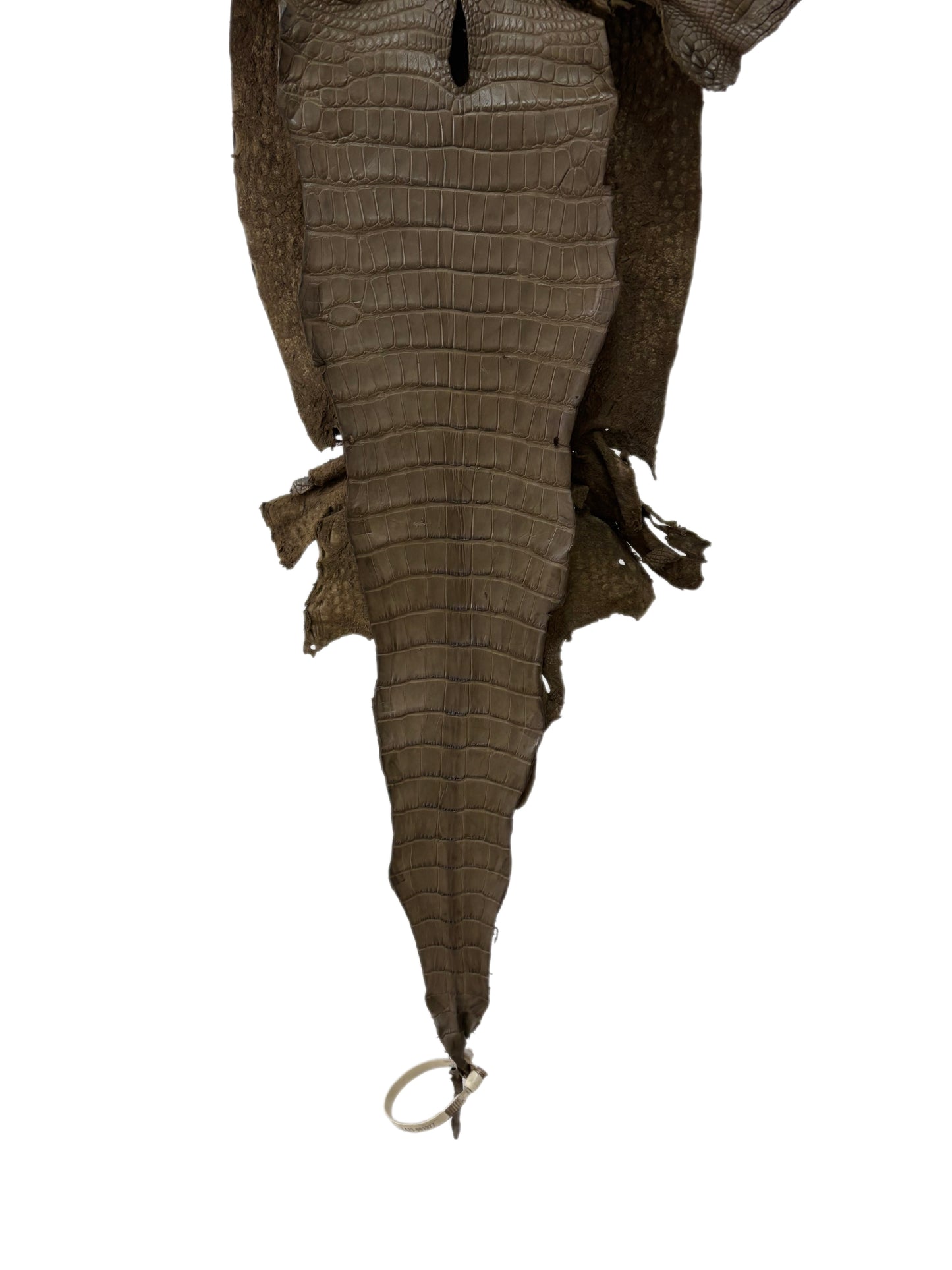 27 cm Grade 2/3 Mink Matte Wild American Alligator Leather - Tag: LA23-0051977