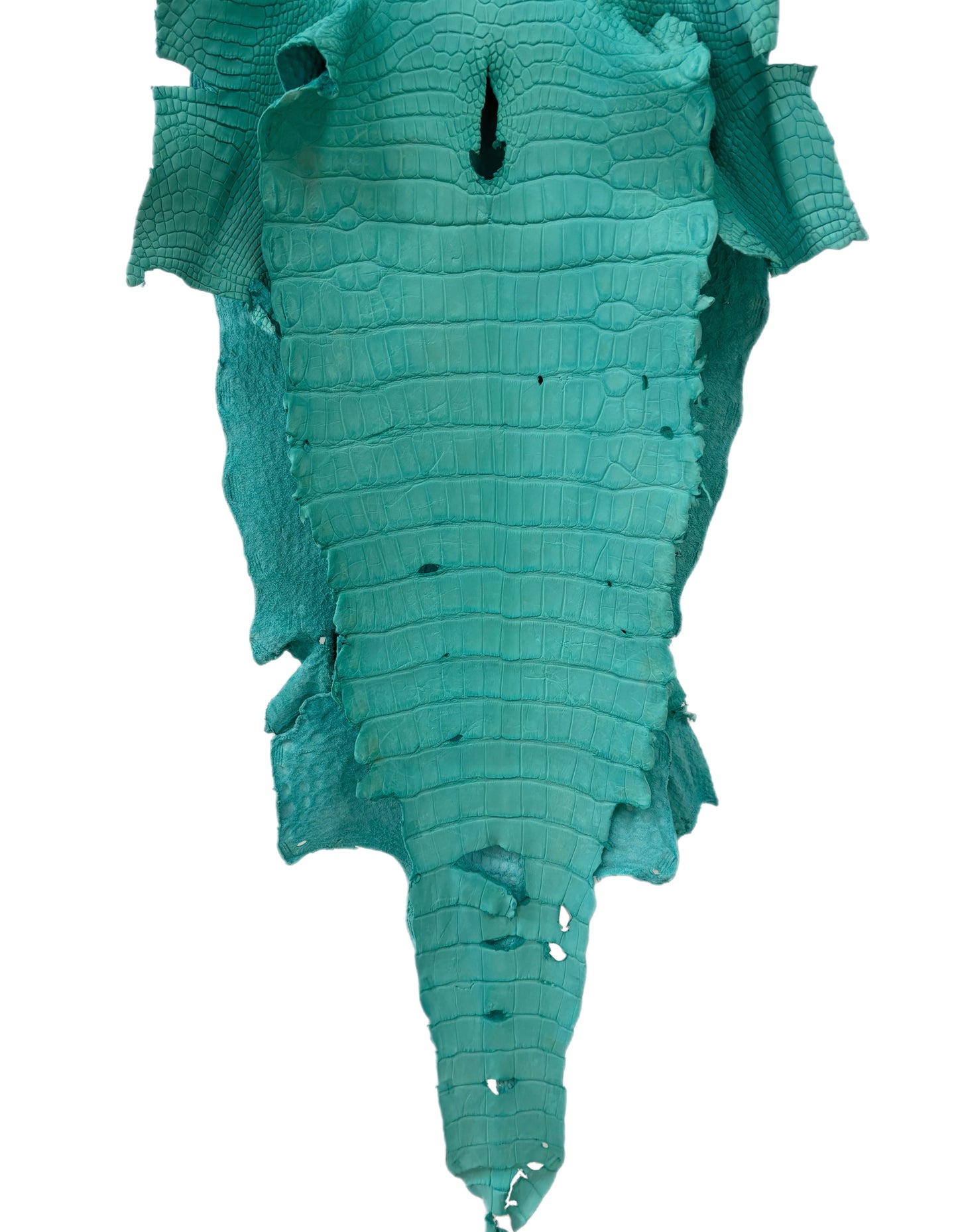 38 cm Grade 3/4 Seafoam Matte Wild American Alligator Leather - Tag: LA23-0003269