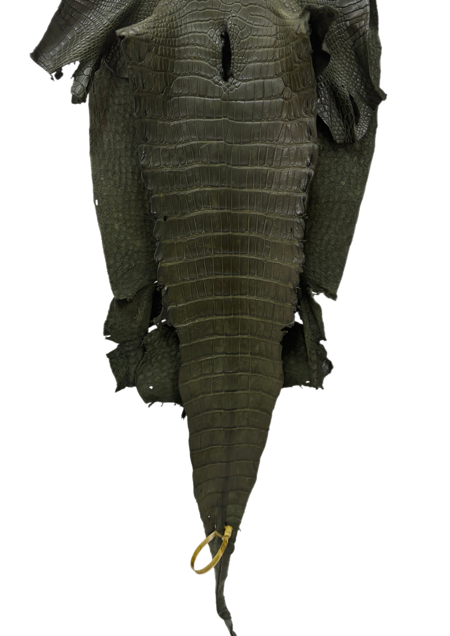 36 cm Grade 2/3 Olive Matte Wild American Alligator Leather - Tag: LA23-0016638