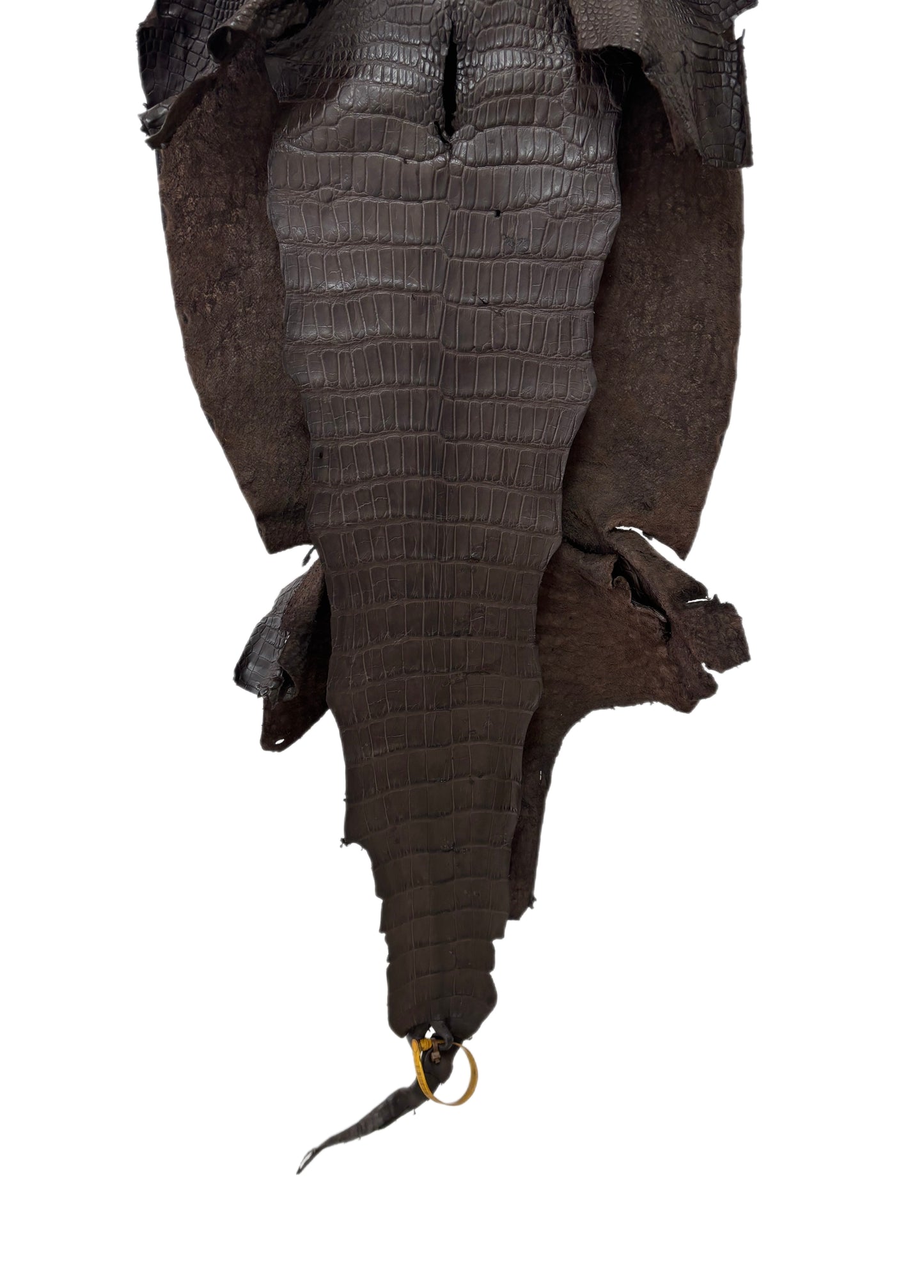 43 cm Grade 3/4 Kralle Brown Matte Wild American Alligator Leather - Tag: LA25-0501453