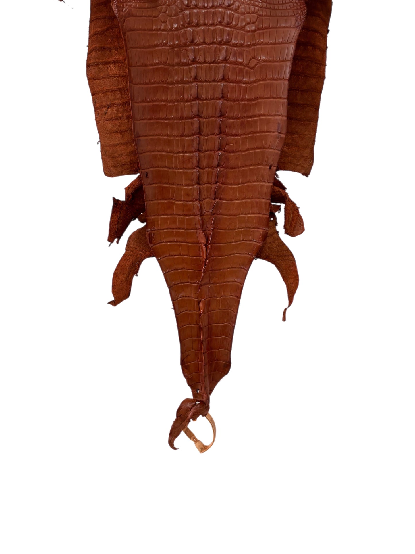 29 cm Grade 1/2 Cognac Matte Farm-Raised American Alligator Hornback Leather - Tag: LA23-0377086