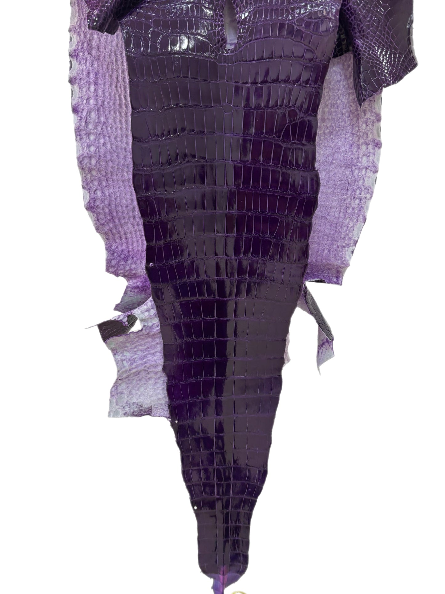 40 cm Grade 1 Amethyst Glazed Wild American Alligator Leather - Tag: LA19-0034337