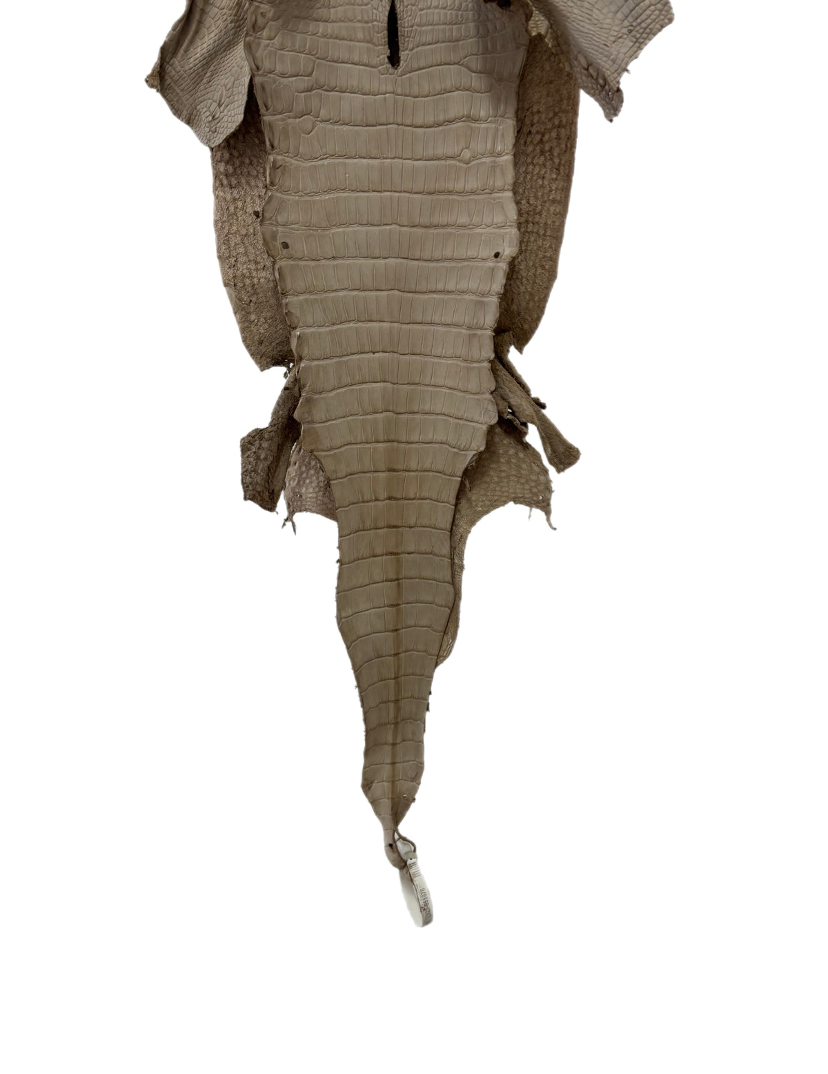 27 cm Grade 2/3 Stormy Matte Wild American Alligator Leather - Tag: LA23-0051976