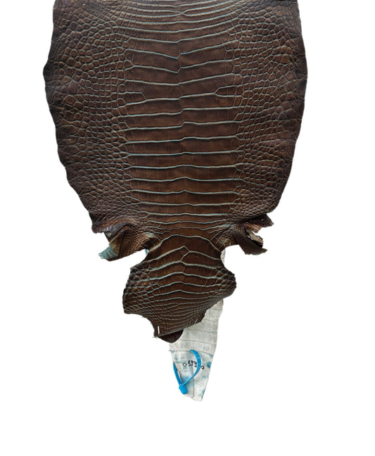 31 cm Grade 1/2 Pacifica Matte Wild American Alligator Leather - Tag: ESRE-0050950