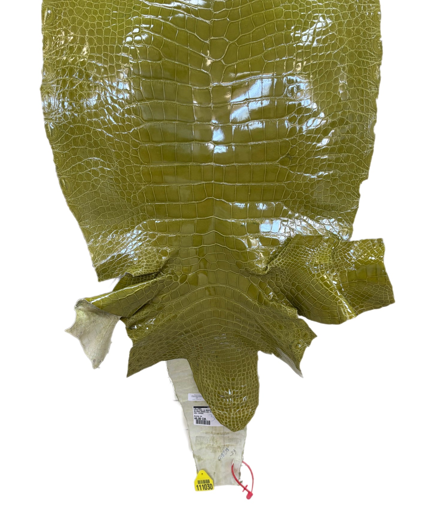 CLOSEOUT | 45 cm Grade 2/3 Muguet Glazed Wild American Alligator Leather - Tag: CCIT-0539932