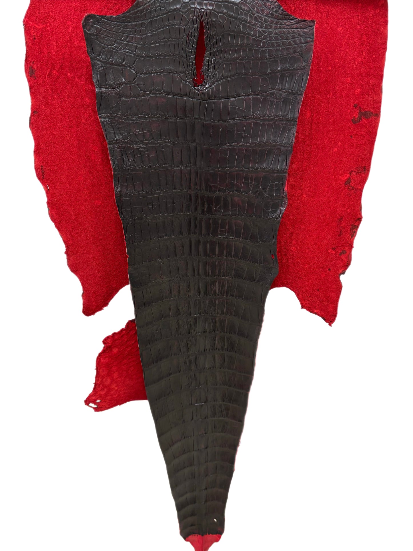 51 cm Grade 3/4 Black Cherry Matte Wild American Alligator Leather - Tag: LA23-0016750