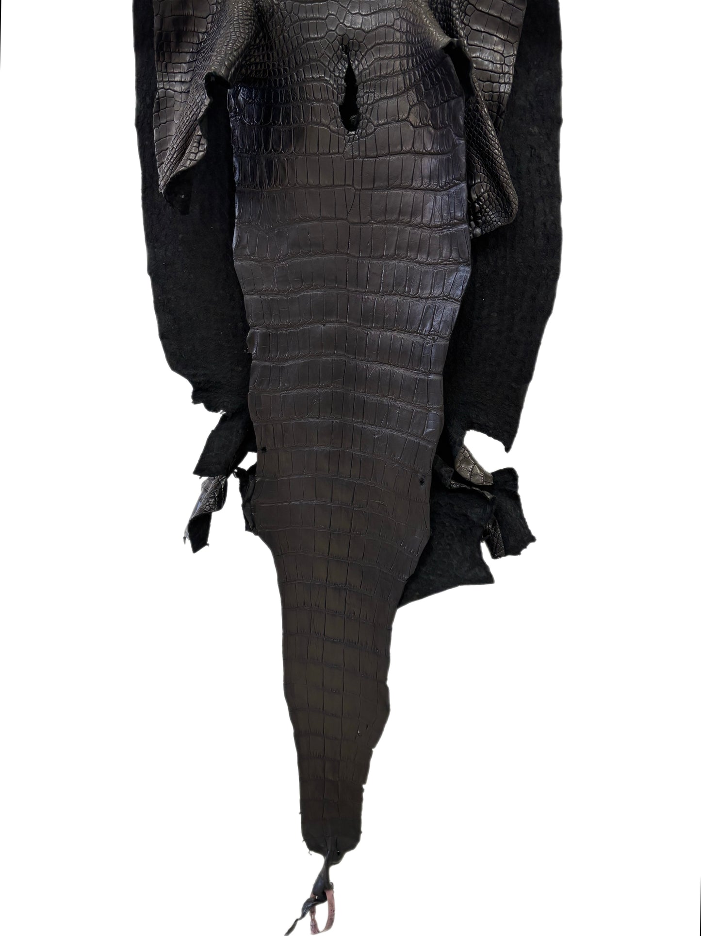44 cm Grade 2/3 Black Matte Wild American Alligator Leather - Tag: LA24-0022762