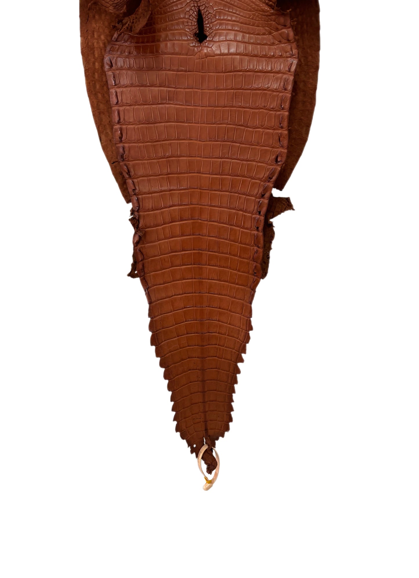 32 cm Grade 2/3 Cognac Matte Farm-Raised American Alligator Leather - Tag: FL17-0052941