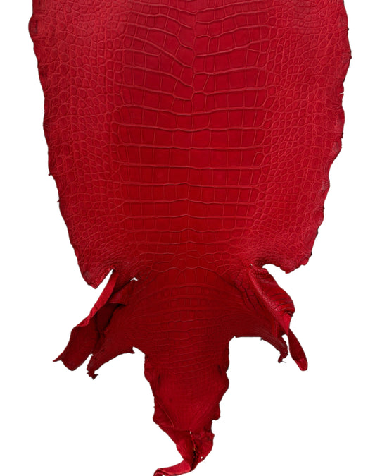 50 cm Grade 3/4 Candy Apple Red Matte Wild American Alligator Leather - Tag: LA22-0021542