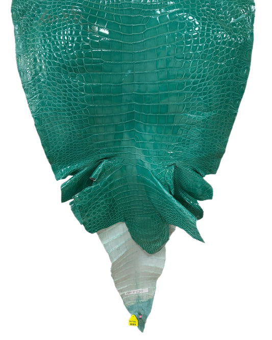 61 cm Grade 3/4 Tiffany Blue Glazed Farm Raised American Alligator Leather - Tag: FL14-0004055