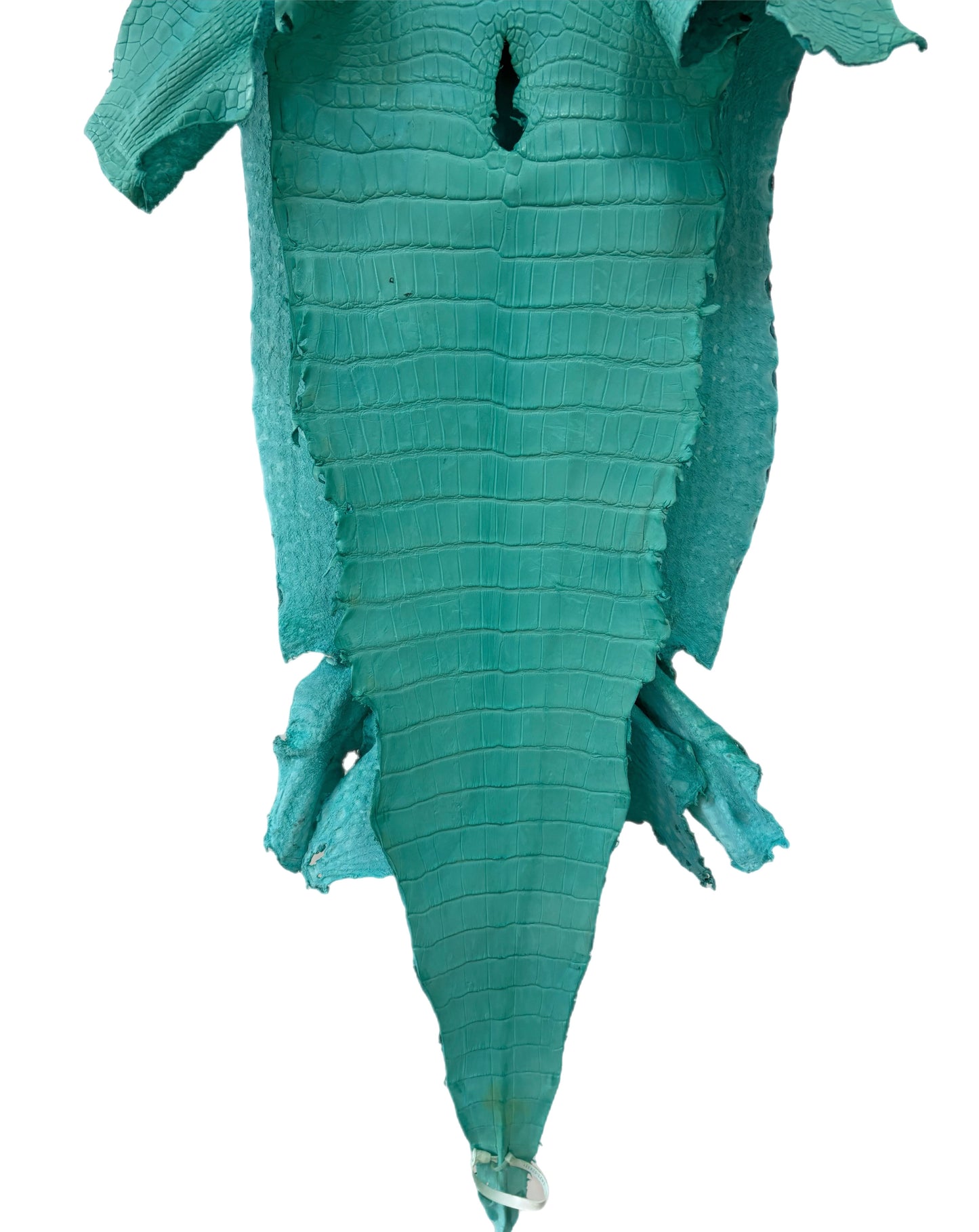 42 cm Grade 3/4 Seafoam Matte Wild American Alligator Leather - Tag: LA23-0024331