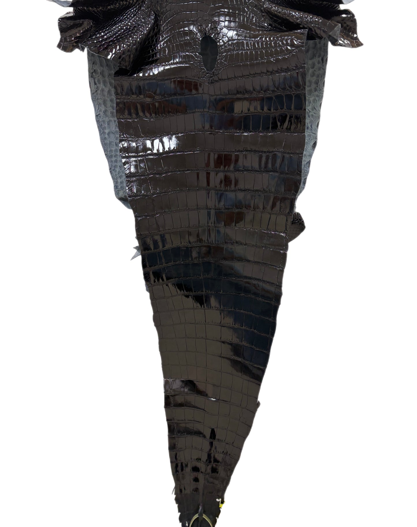 34 cm Grade 1/2 Black Glazed Farm-Raised American Alligator Leather - Tag: GA13-0021277