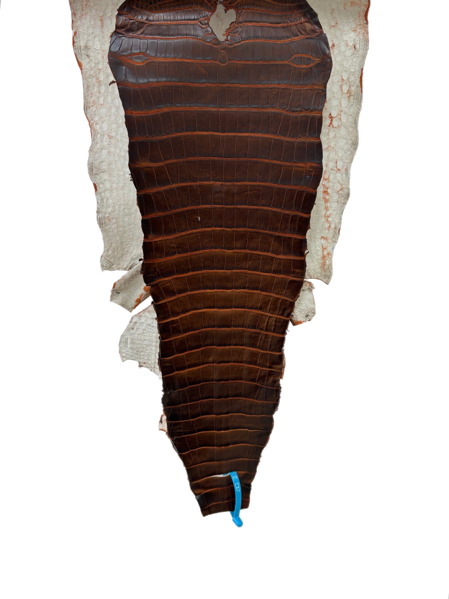 33 cm Grade 1/2 Sienna Matte Wild American Alligator Leather - Tag: ESRE-0050764
