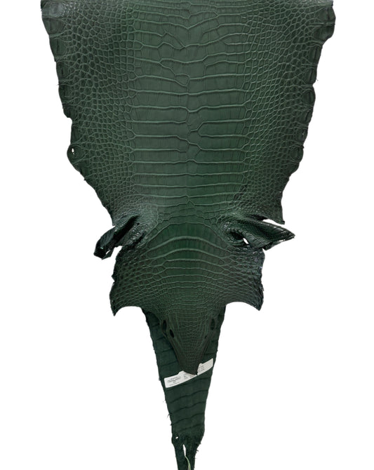 33 cm Grade 2/3 Forest Green Matte Farm- Raised American Alligator Leather - Tag: LA17-0274530