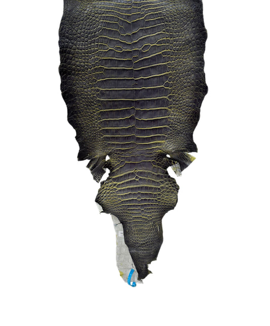 33 cm Grade 3/4 Voltage Matte Wild American Alligator Leather - Tag: ESRE-0051051