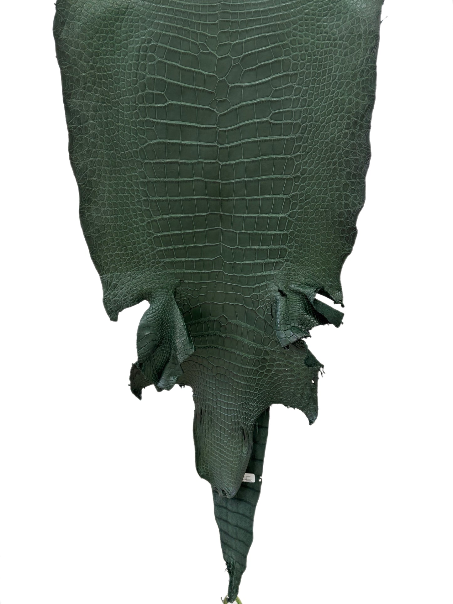 43 cm Grade 1/2 Forest Green Matte Wild American Alligator Leather - Tag: LA16-0033469
