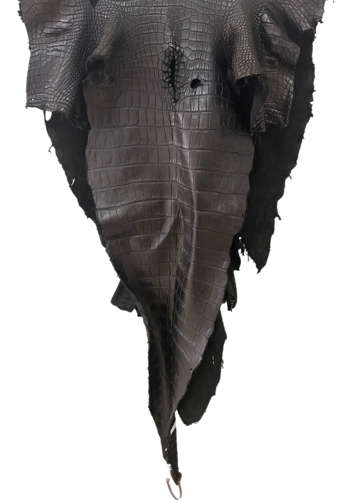 67 cm Grade 3/4 Black Matte Wild American Alligator Leather - Tag: LA24-0024933