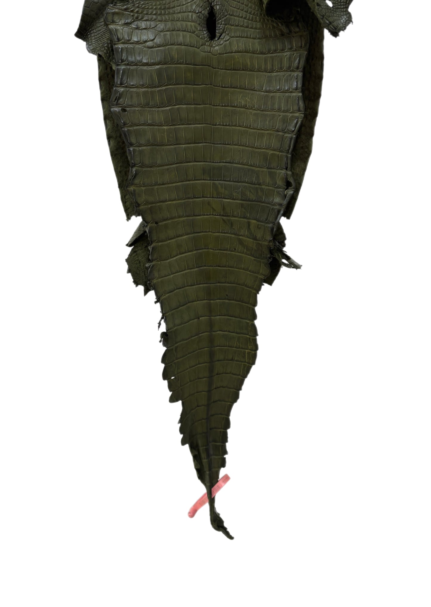 27 cm Grade 3/4 Olive Matte Farm-Raised American Alligator Leather - Tag: FL21-0024070