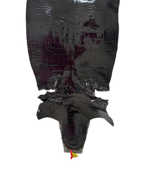 45 cm Grade 3/4 Black Glazed Wild American Alligator Leather - Tag: ITCC-0539877