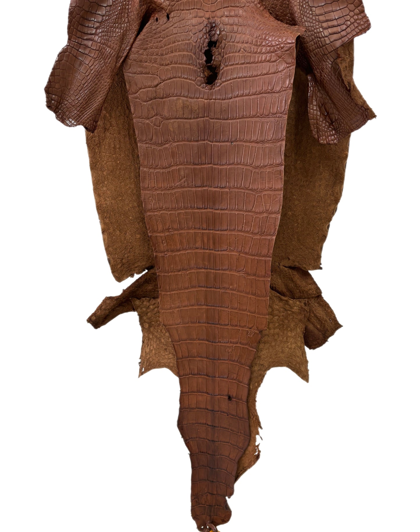 41 cm Grade 4/5 Cigar Matte Wild American Alligator Leather - Tag: LA22-0031193