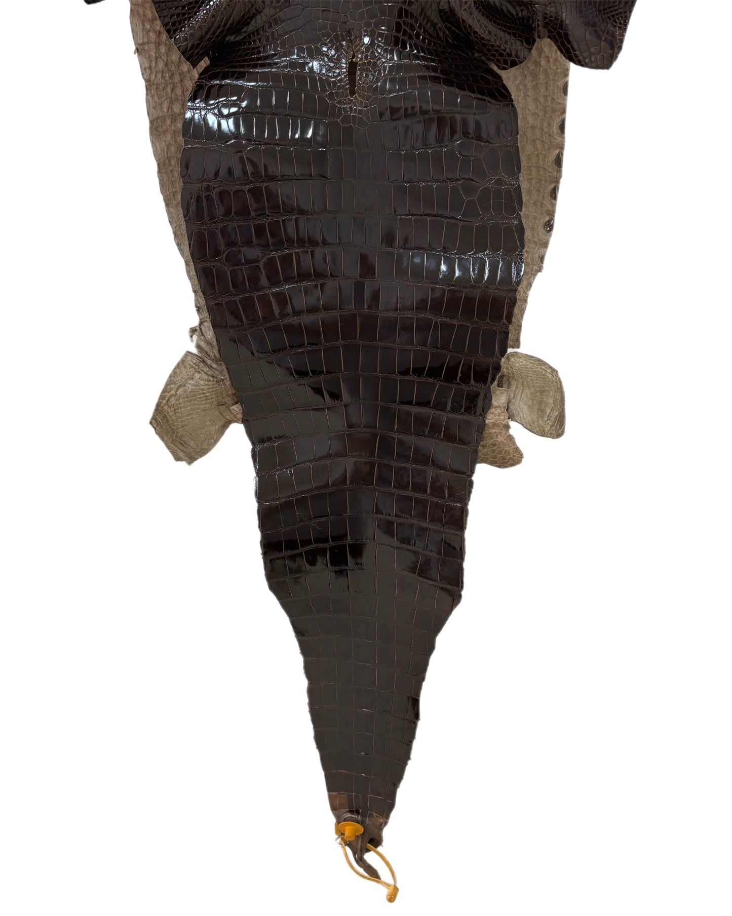 37 cm Grade 1/2 Sport Rust Brown Glazed Farm-Raised American Alligator Leather - Tag: LA12-0136169