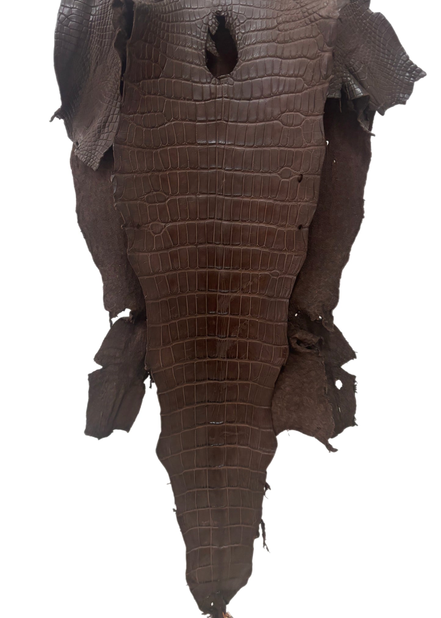 40 cm Grade 3/4 Chocolate Matte Wild American Alligator Leather - Tag: LA23-0003296