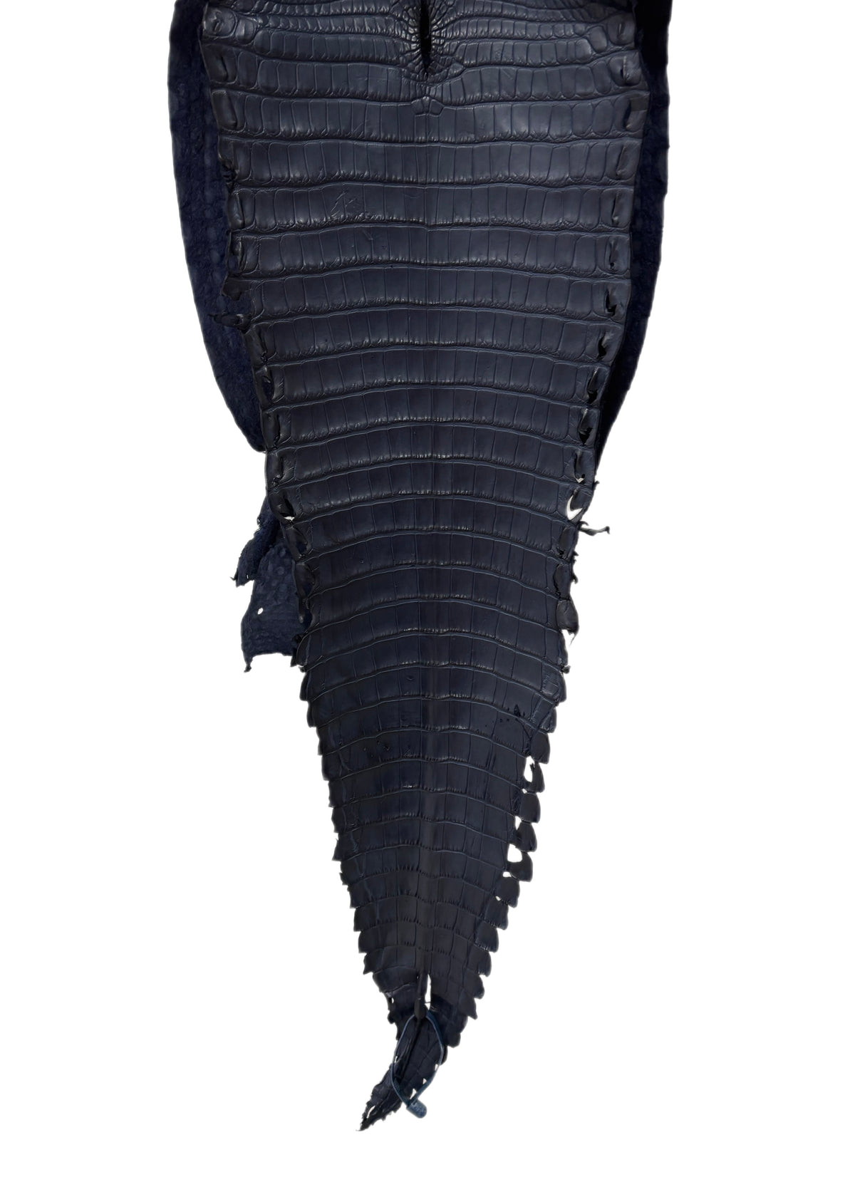 32 cm Grade 2/3 Navy Blue Desert Farm American Alligator Leather - Tag: FL17-0052779