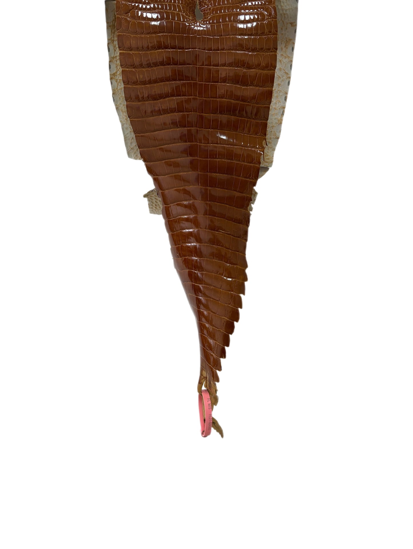 23 cm Grade 1/2 Cognac Glazed Farm-Raised American Alligator Leather - Tag: FL21-0024583