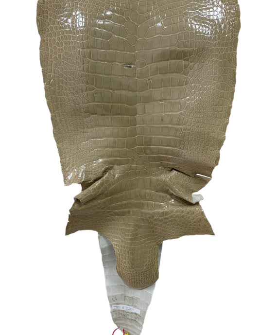 47 cm Grade 4/5 Ash Glazed Wild American Alligator Leather - Tag: ITCC-0539967