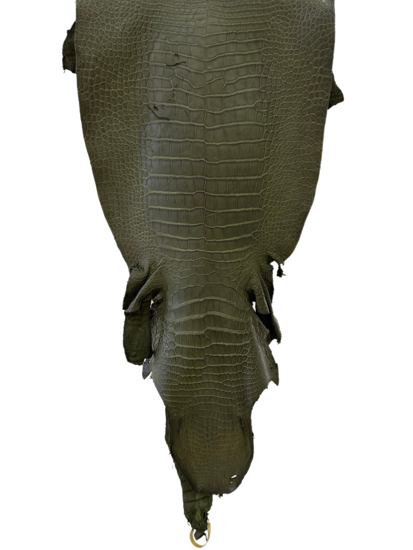 42 cm Grade 3/4 Olive Matte Wild American Alligator Leather - Tag: LA23-0022115