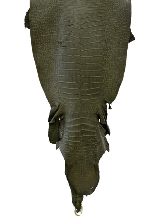 42 cm Grade 3/4 Olive Matte Wild American Alligator Leather - Tag: LA23-0022115