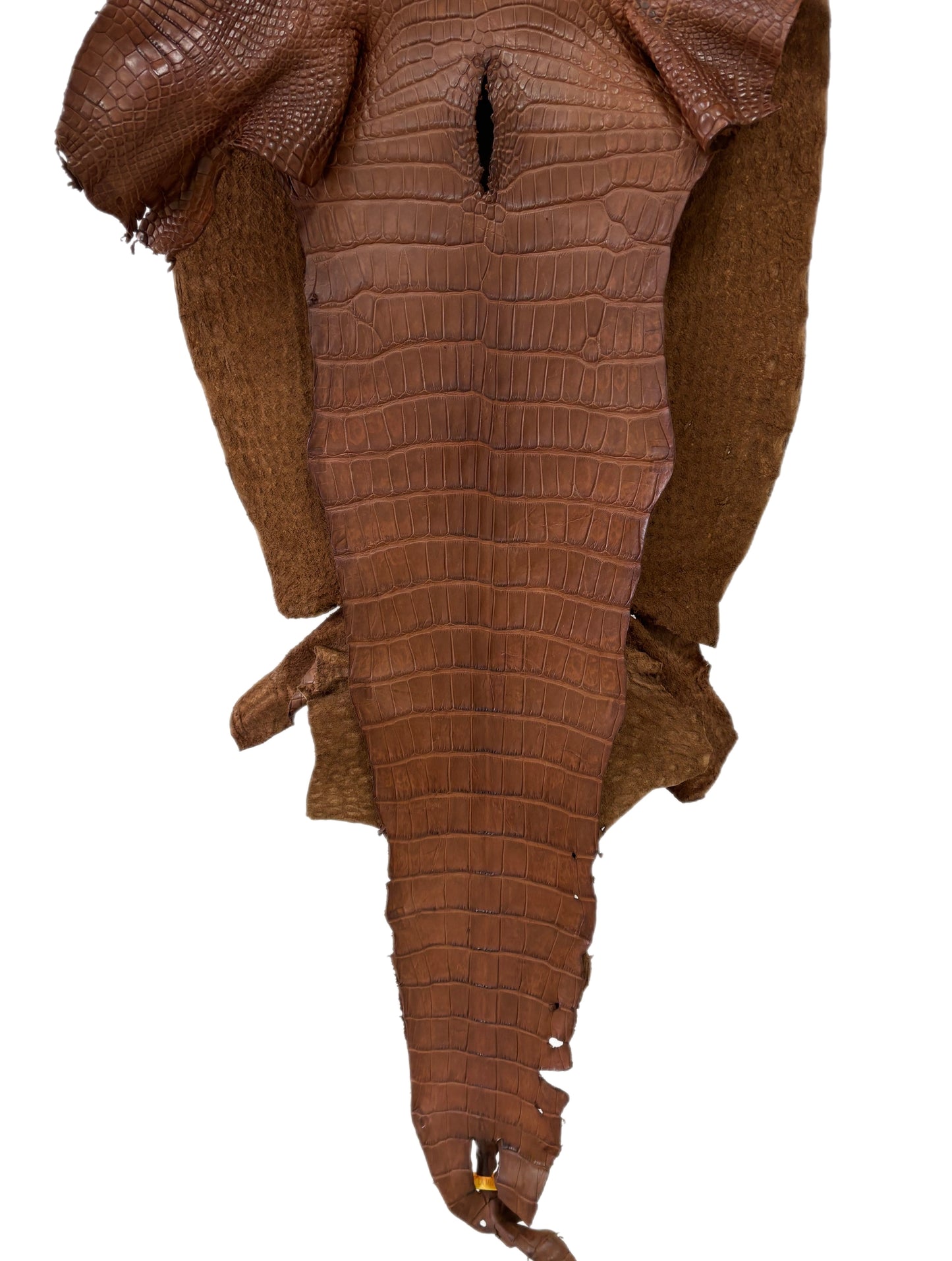 41 cm Grade 4/5 Cigar Matte Wild American Alligator Leather - Tag: LA22-0004107