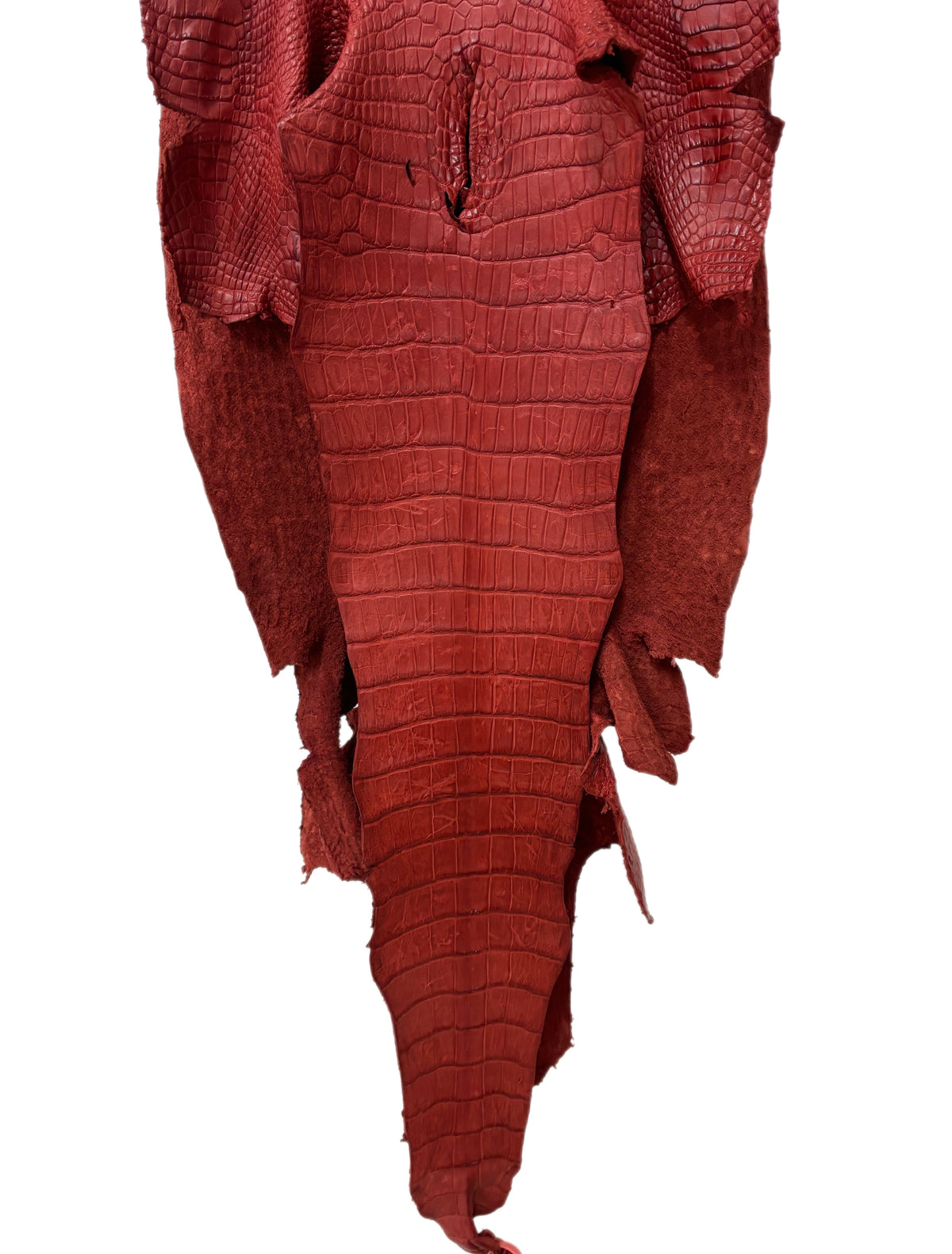 47 cm Grade 4/5 Marziale Matte Wild American Alligator Leather - Tag: LA24-0022161