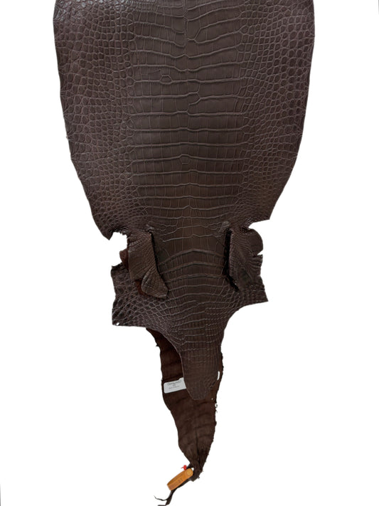 32 cm Grade 2/3 Chocolate Matte Farm-Raised American Alligator Leather - Tag: LA23-0531390