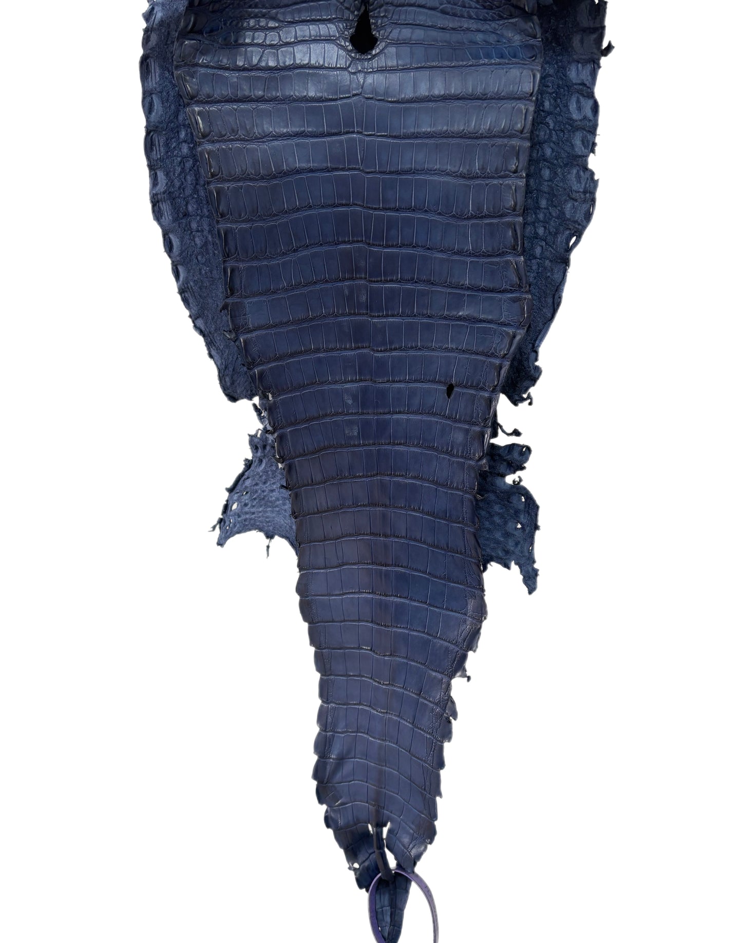 25 cm Grade 4/5 Admiral Blue Matte Farm Raised American Alligator Leather - Tag: FL21-0024966