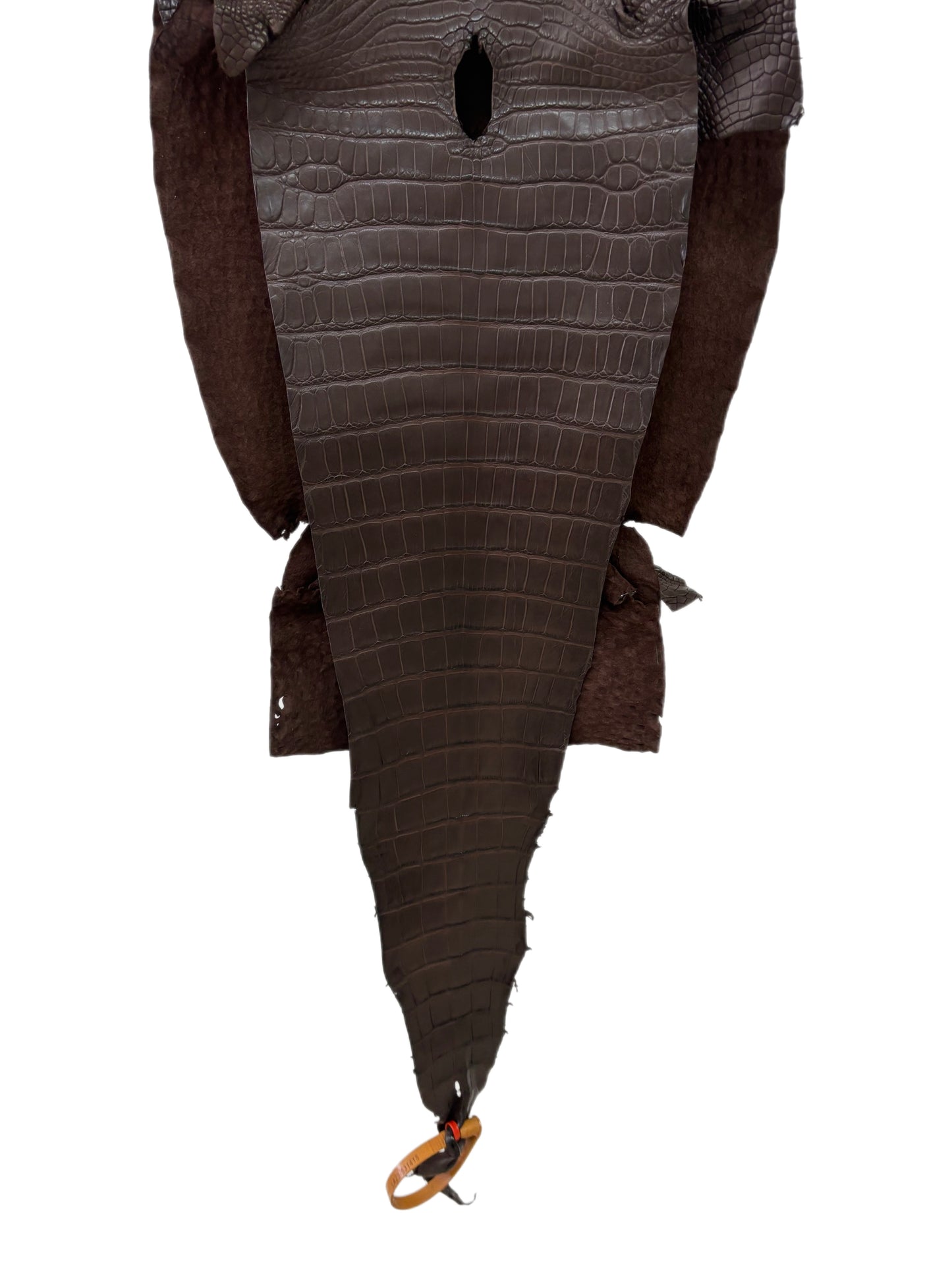 32 cm Grade 2/3 Chocolate Matte Farm-Raised American Alligator Leather - Tag: LA23-0531415