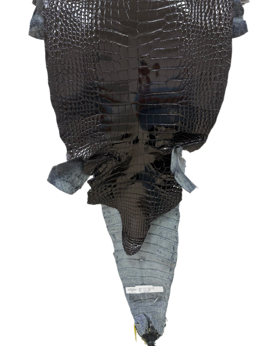 34 cm Grade 1/2 Black Glazed Farm-Raised American Alligator Leather - Tag: GA13-0021277