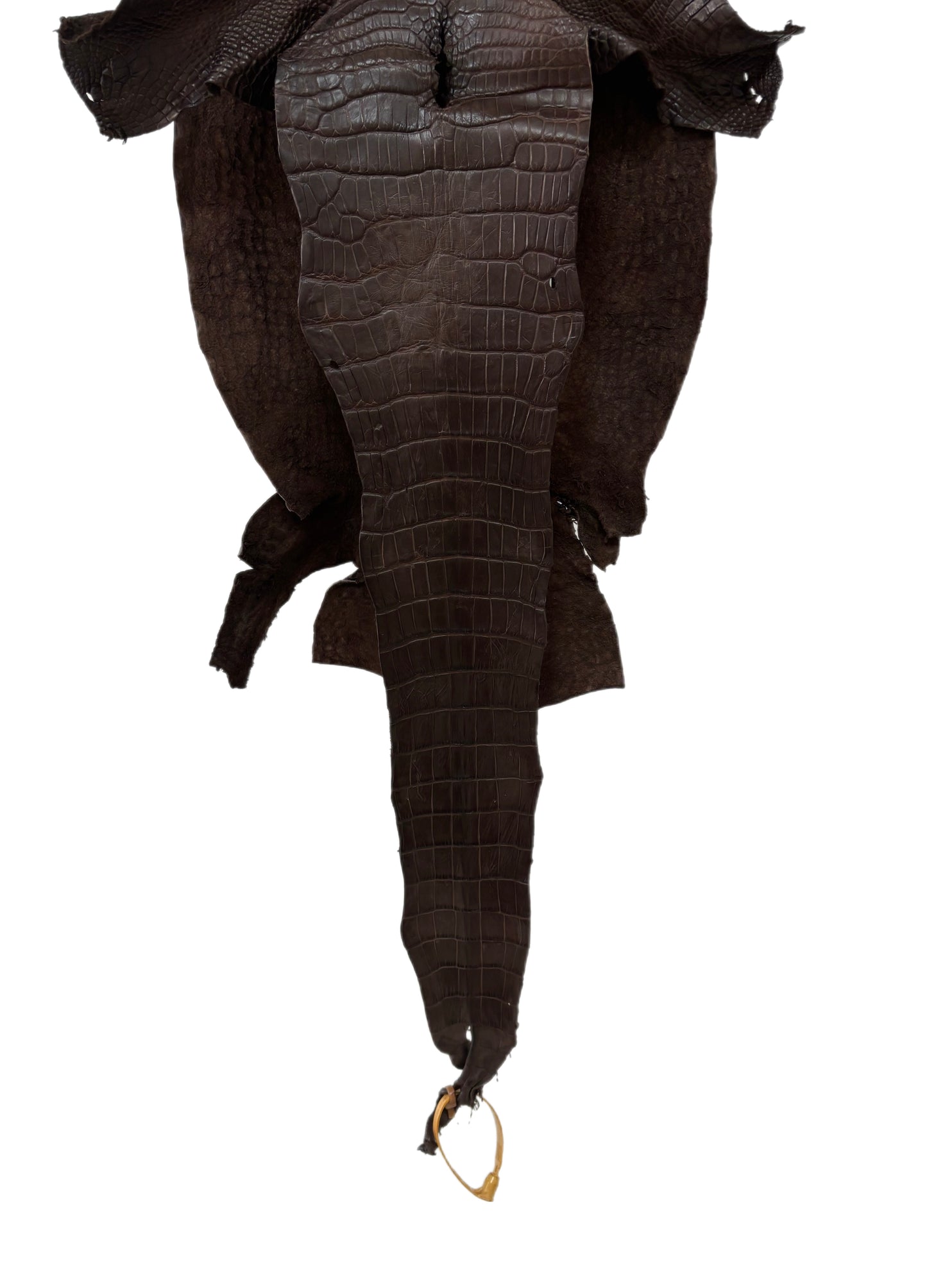 29 cm Grade 2/3 Chocolate Matte Wild American Alligator Leather - Tag: LA23-0051946