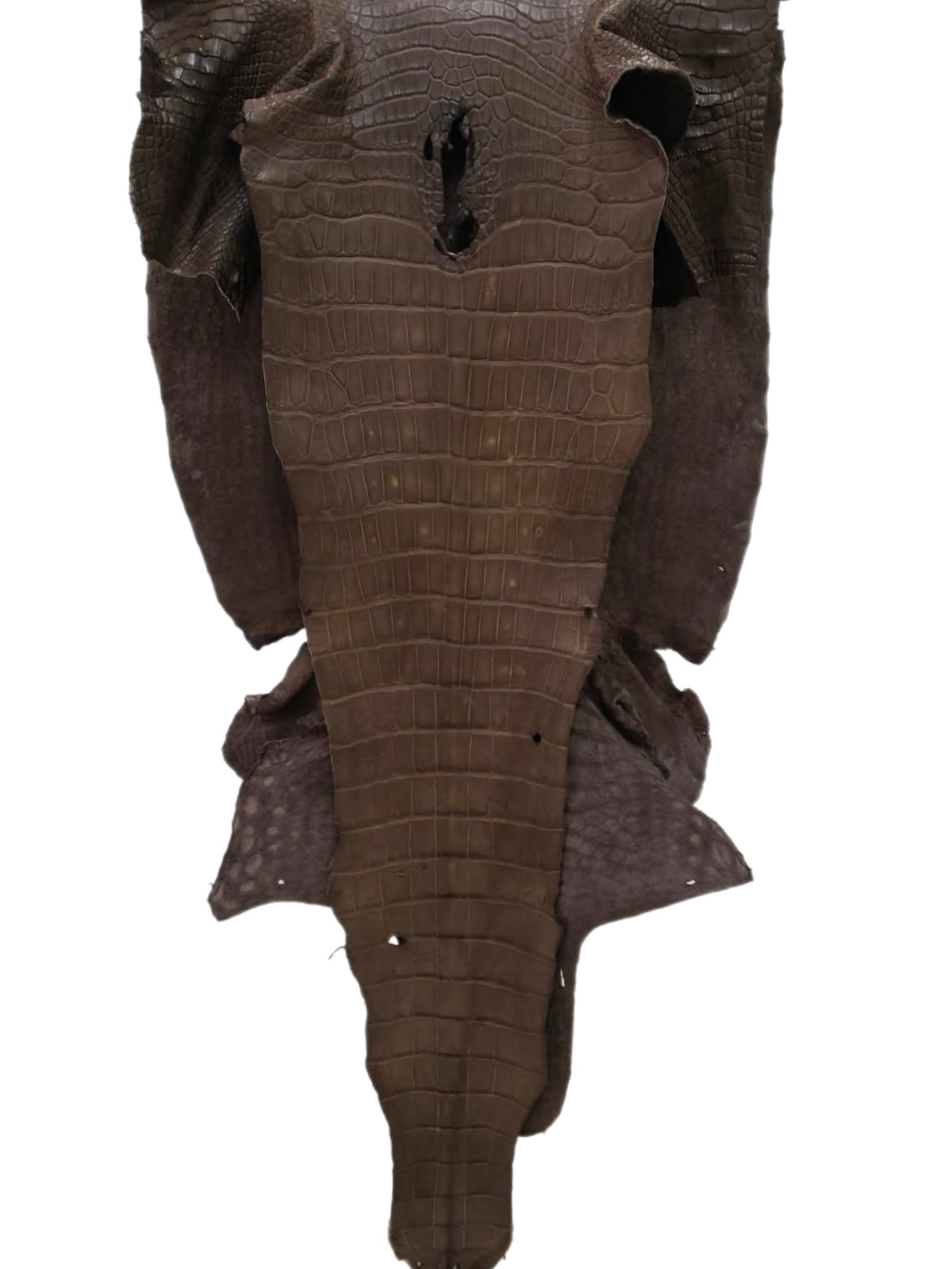 49 cm Grade 4/5 Miller Matte Wild American Alligator Leather - Tag: LA23-0014313