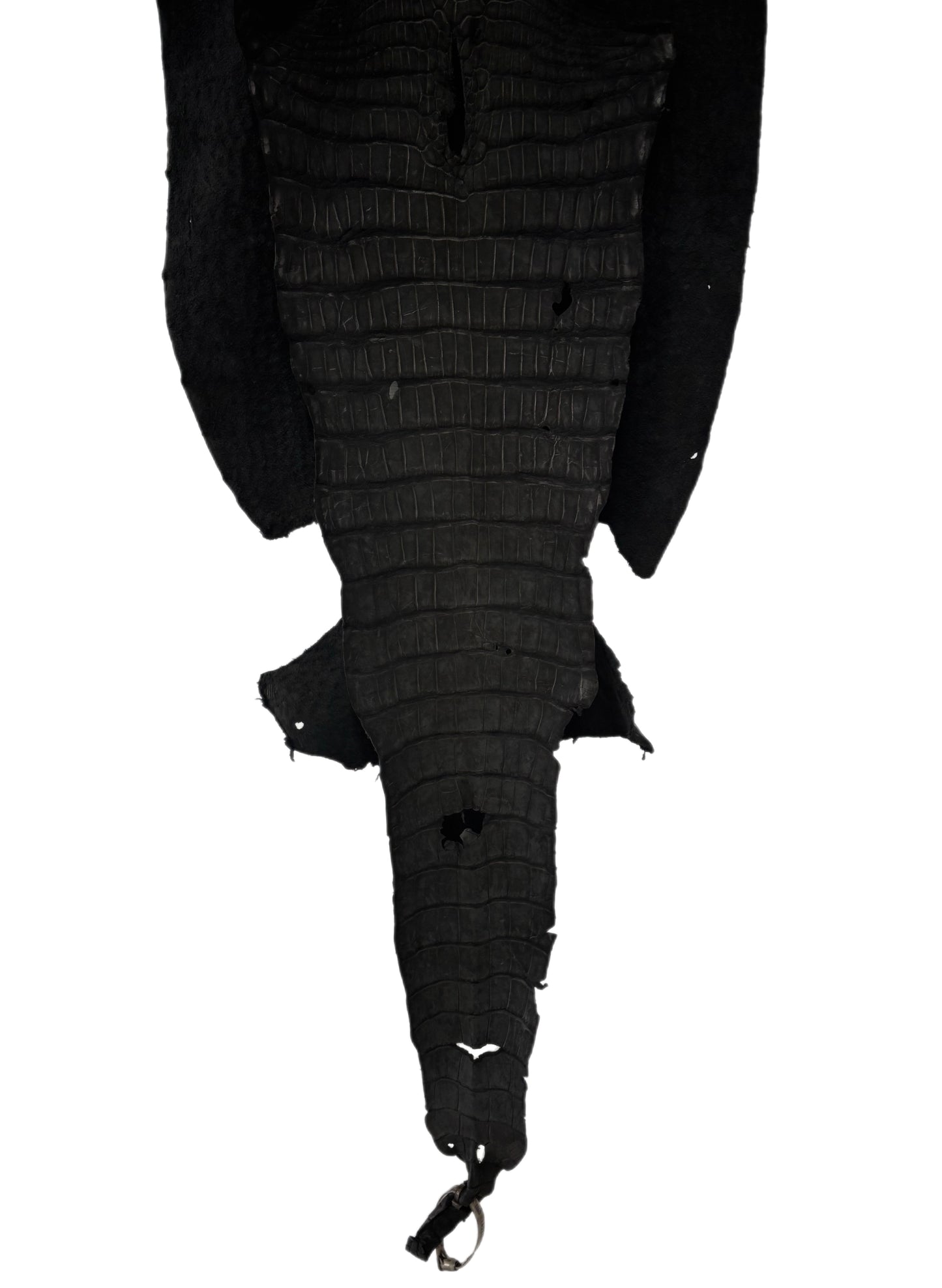 39 cm Grade 4/5 Black Nubuck Wild American Alligator Leather - Tag: LA23-0022686