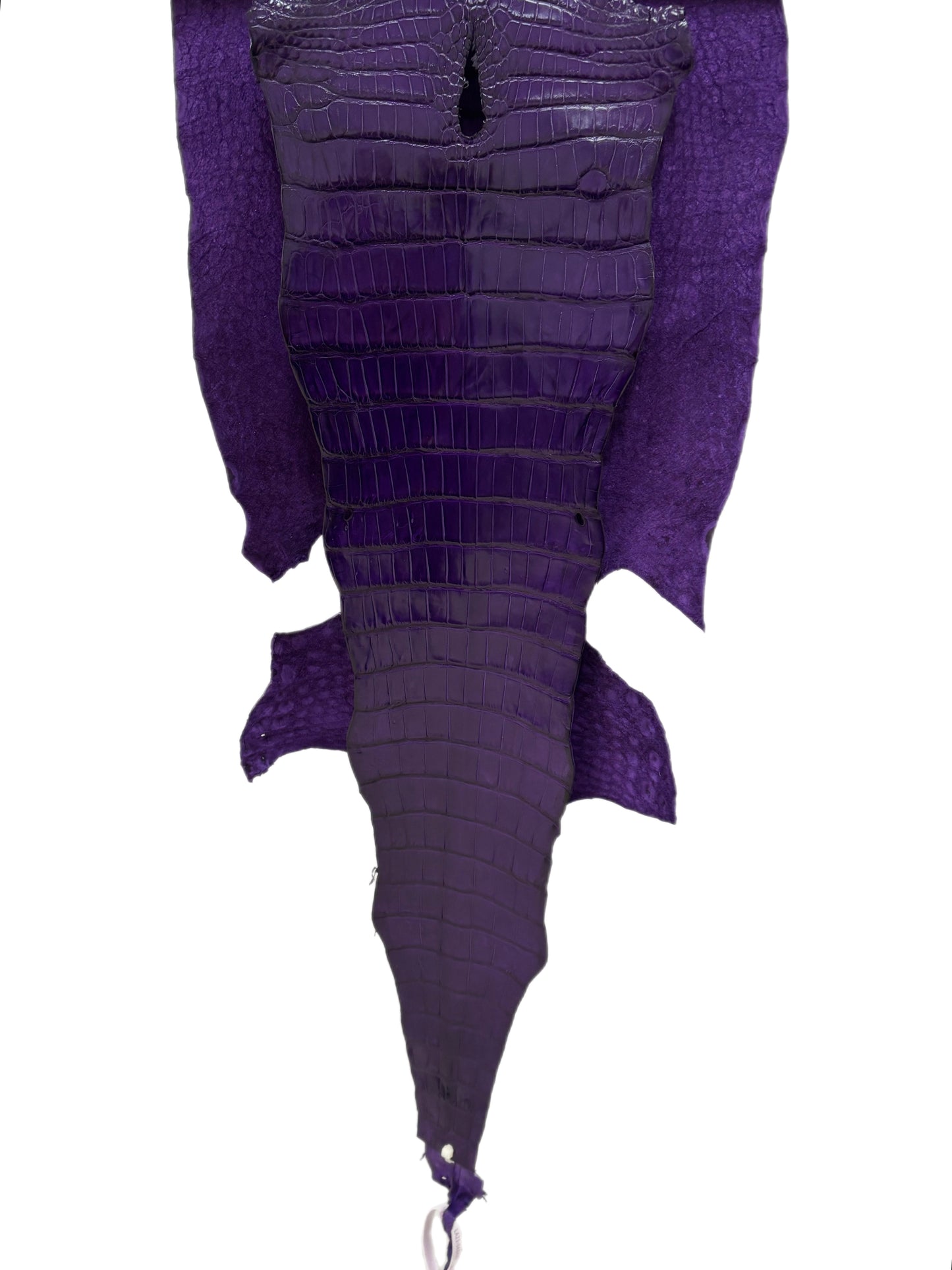 36 cm Grade 2/3 Violet Millennium Wild American Alligator Leather - Tag: LA23-0048490