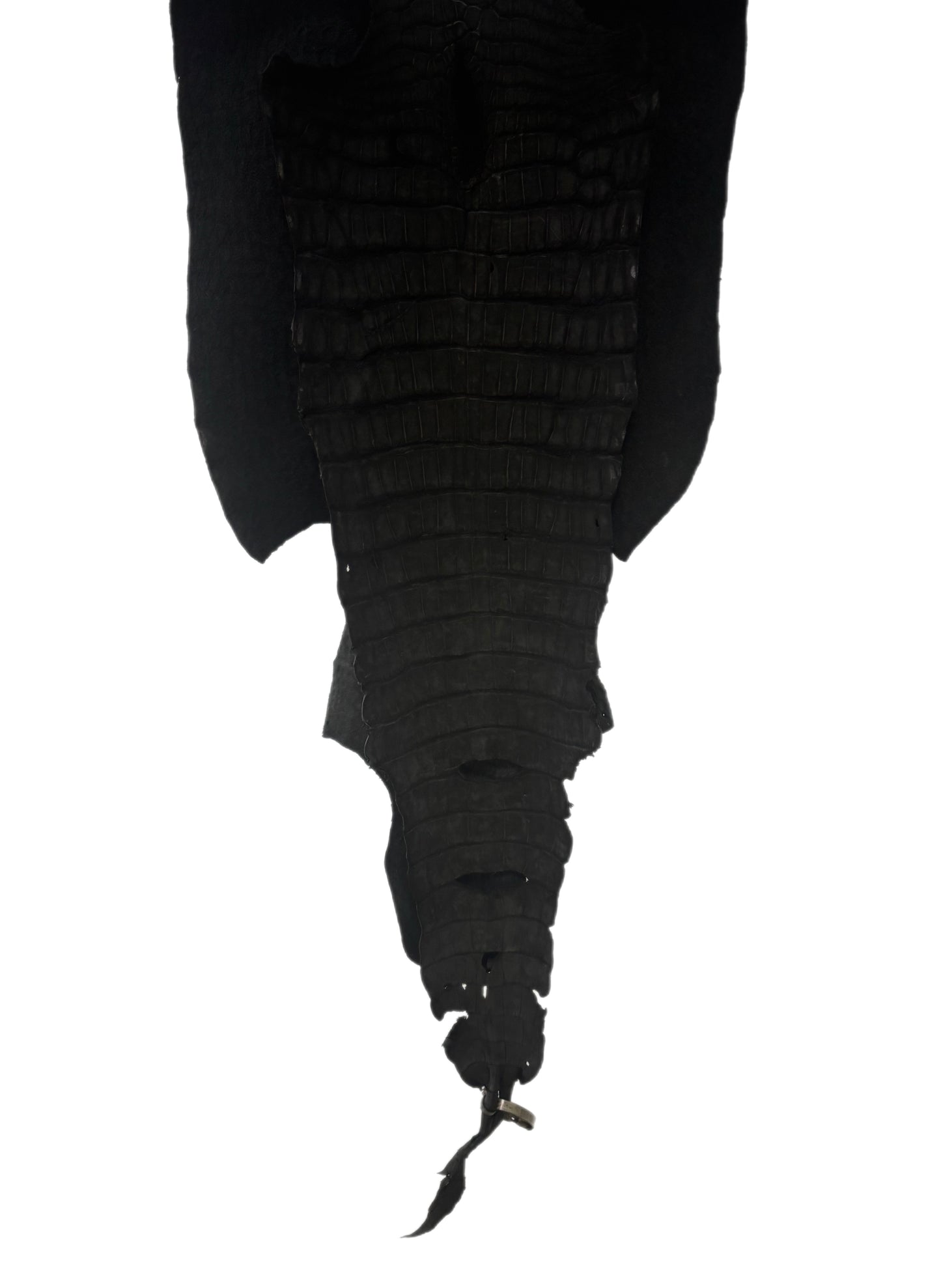 42 cm Grade 3/4 Black Nubuck Wild American Alligator Leather - Tag: LA23-0001392