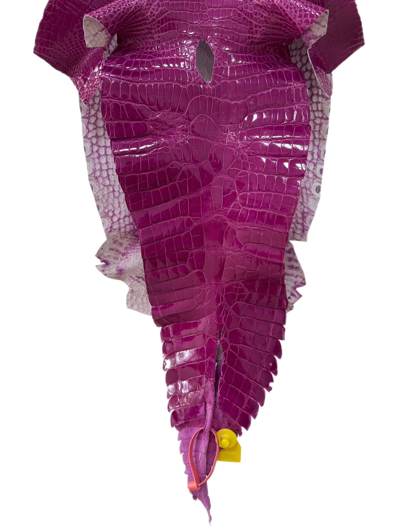 30 cm Grade 2/3 Magenta Glazed Farm-Raised American Alligator Leather - Tag: GA14-0021458