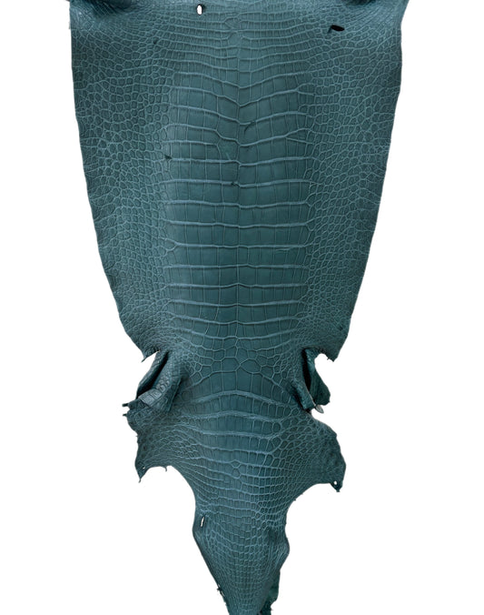 43 cm Grade 3/4 Teal Matte Wild American Alligator Leather - Tag: LA23-0033854