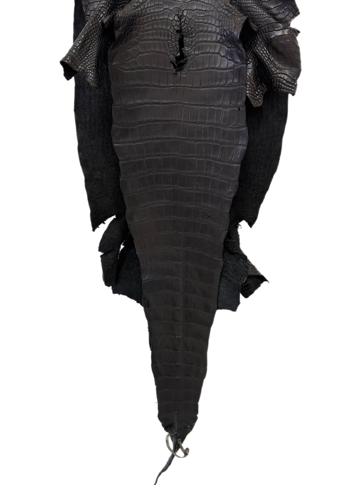 42 cm Grade 2/3 Black Matte Wild American Alligator Leather - Tag: LA16-0033690