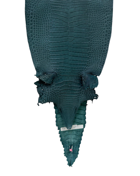 28 cm Grade 2/3 Teal Matte Farm-Raised American Alligator Leather - Tag: FL21-0024737