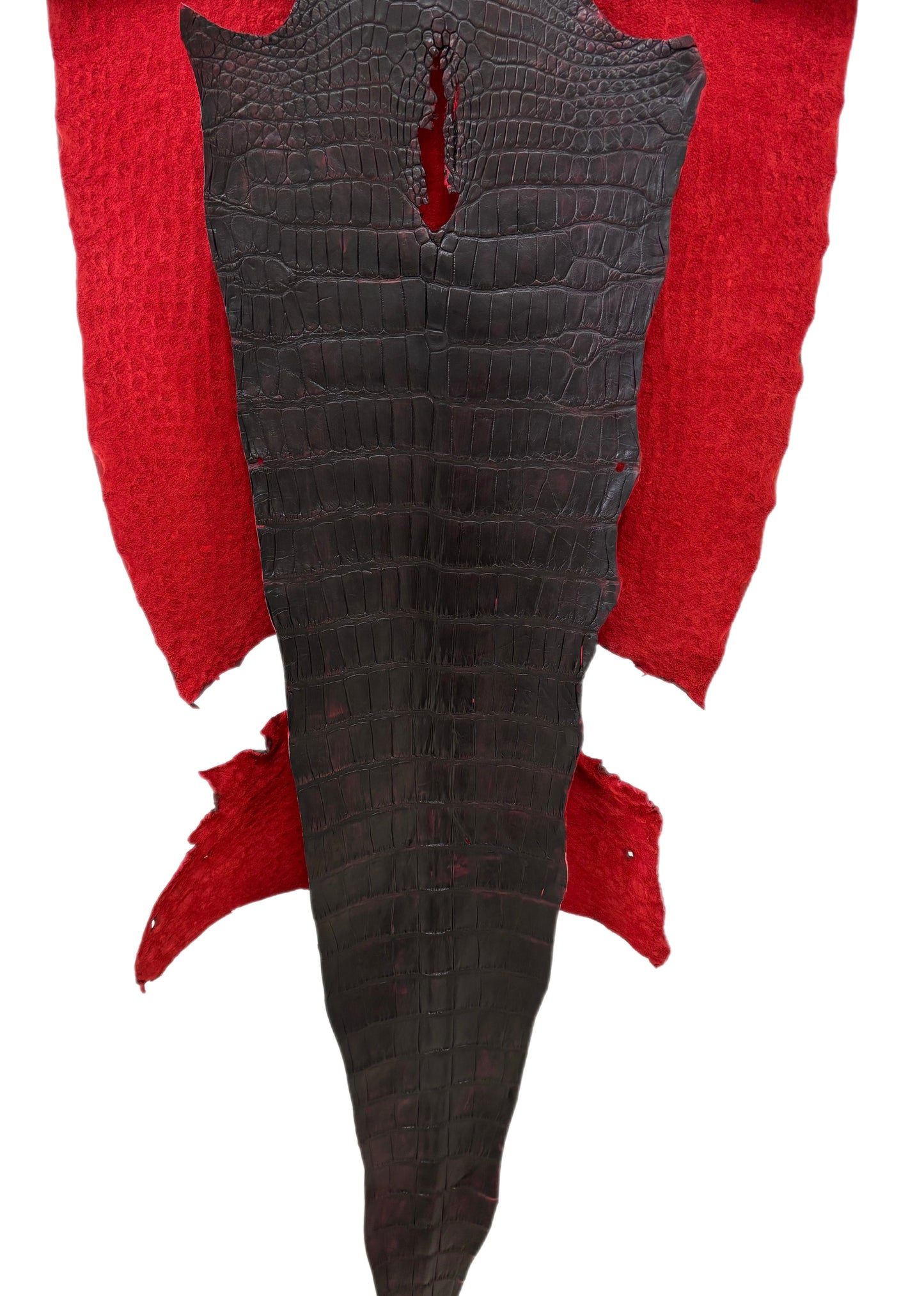 50 cm Grade 2/3 Black Cherry Matte Wild American Alligator Leather - Tag: LA24-0008237
