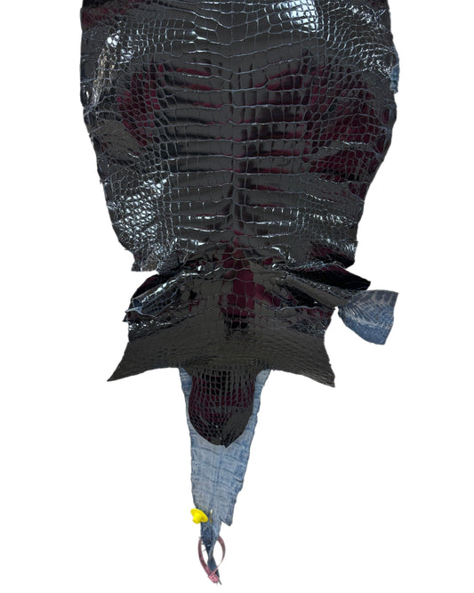 30 cm Grade 1/2 Navy Blue Glazed Wild American Alligator Leather - Tag: LA15-0017618